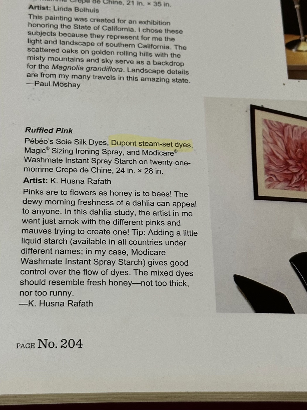 Husna Rafath featured on page 204 of The Fine Art of Painting on Silk